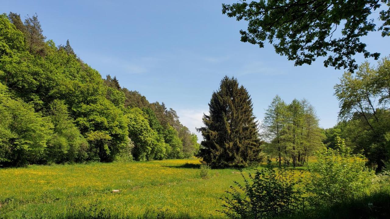 Landgasthof Steuber - Hotel Garni Bromskirchen Exterior foto
